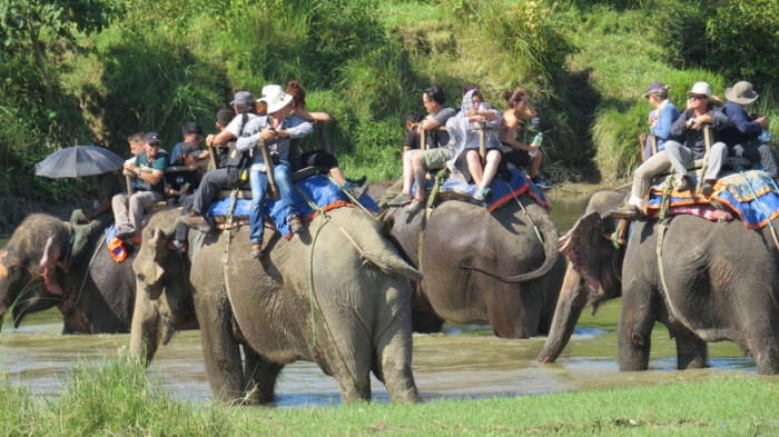 सौराहाको संरक्षित क्षेत्रमा फोहर टिपे पर्यटकले