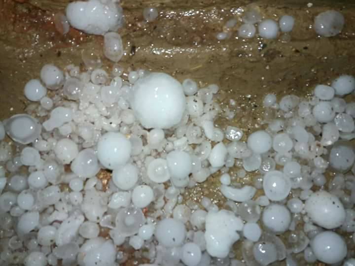 असिनाले लाखौंँको क्षति,किसान मारमा