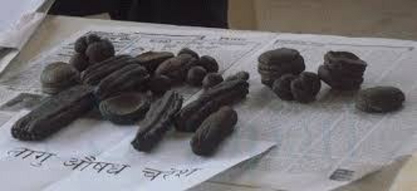 दुई किलो चरेशसहित पक्राउ