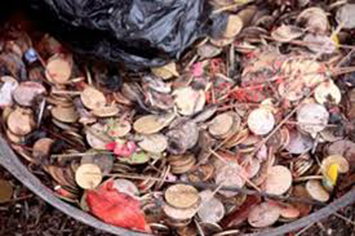 कालिका मन्दिरमा एकै महिनामा २८ लाख भेटी