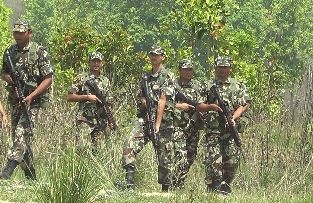 निकुञ्जमा ‘रात्रि गस्ती’ परिचालन