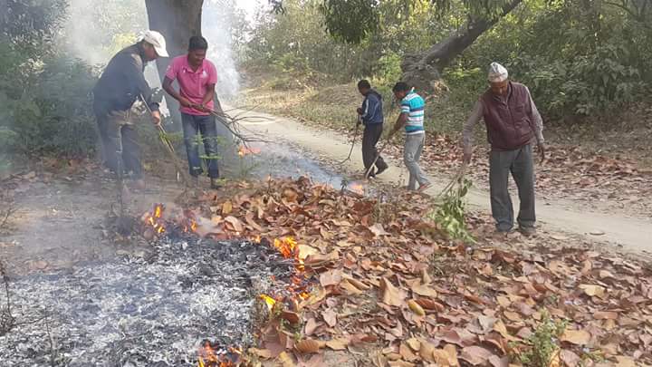 आगलागीको जोखिम कम गर्न अग्नि रेखा निर्माण