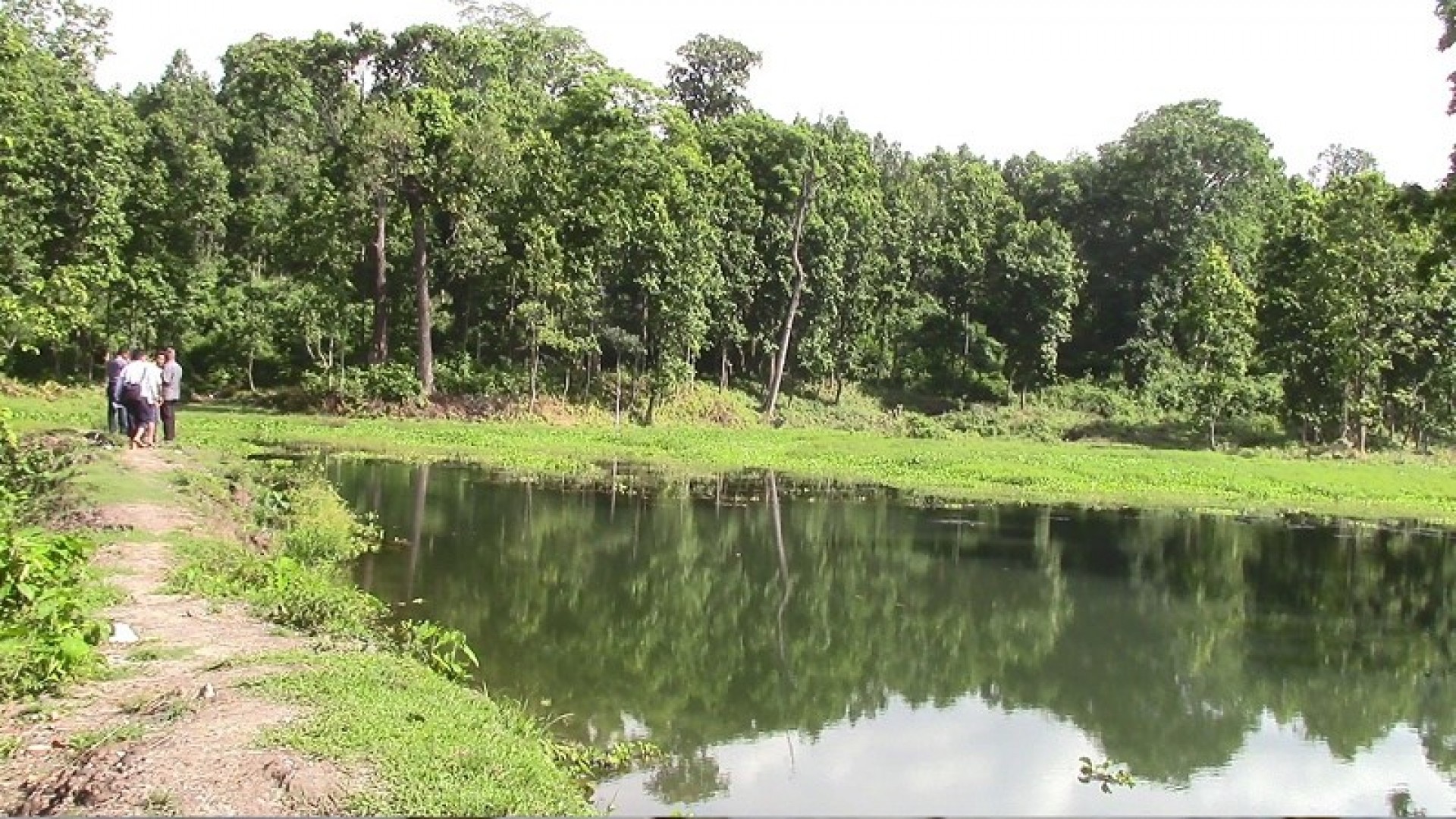 शुक्लाफाँटा निकुञ्जमा कृत्रिम ताल थपिँदै