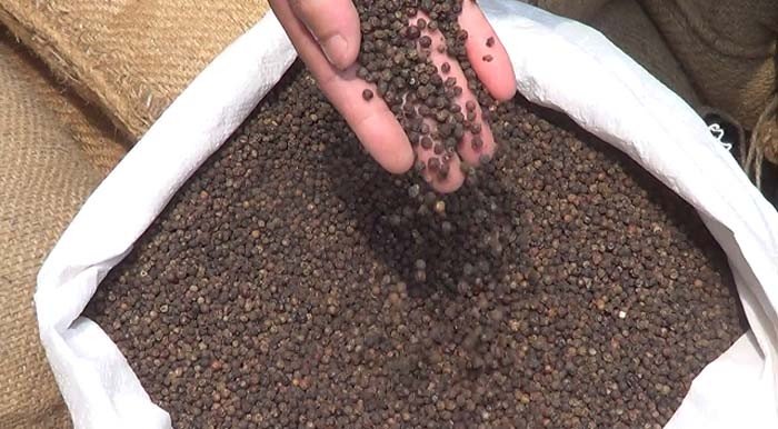 भारत तस्करी हुन लागेको एक क्विन्टल बढी मरिच बरामद