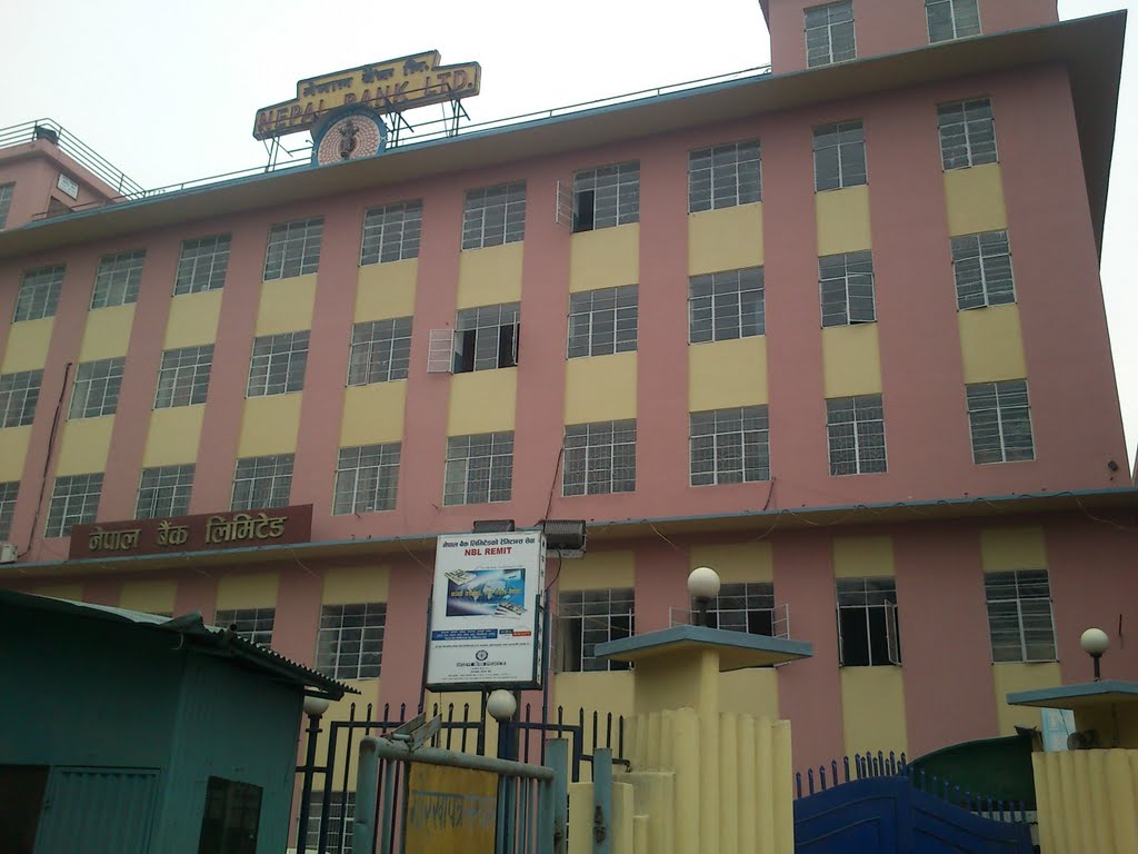 नेपाल बैंक ८२औं वर्षमा प्रवेश, एकैदिन विभिन्न ८ शाखा स्थापना