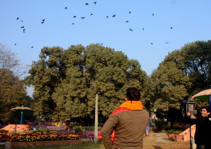रत्नपार्कमा ‘काग’ सम्मेलन, ३०० भन्दा बढी काग एकै ठाउँमा भेला !