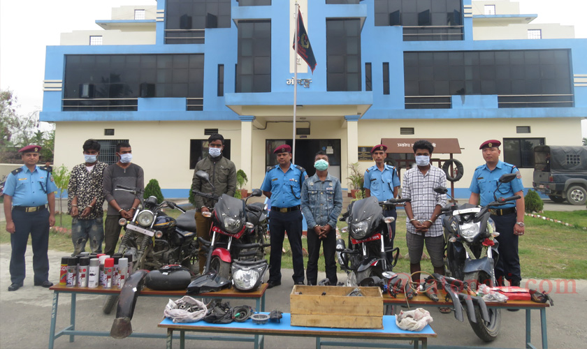 विराटनगर क्षेत्रबाट मोटरसाइकल चोरीमा संलग्न ५ जना पक्राउ