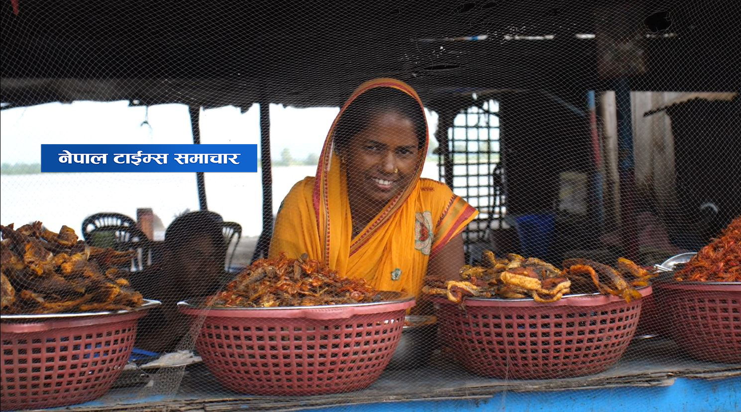 माछा पारखीलाई लोभ्याउने कोशी ब्यारेजको अन्तरकथा