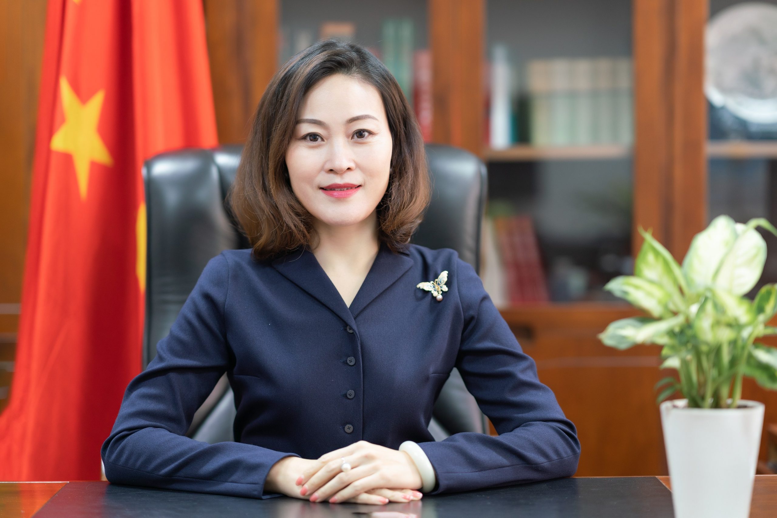 चीनले भन्याे- ‘नेपाल र चीनबीच सीमा विवाद छैन’