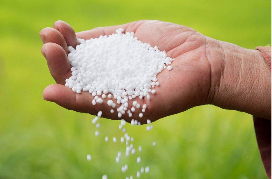 मल नल्याउने दुई कम्पनीलाई कालोसूचीमा राख्न सिफारिस