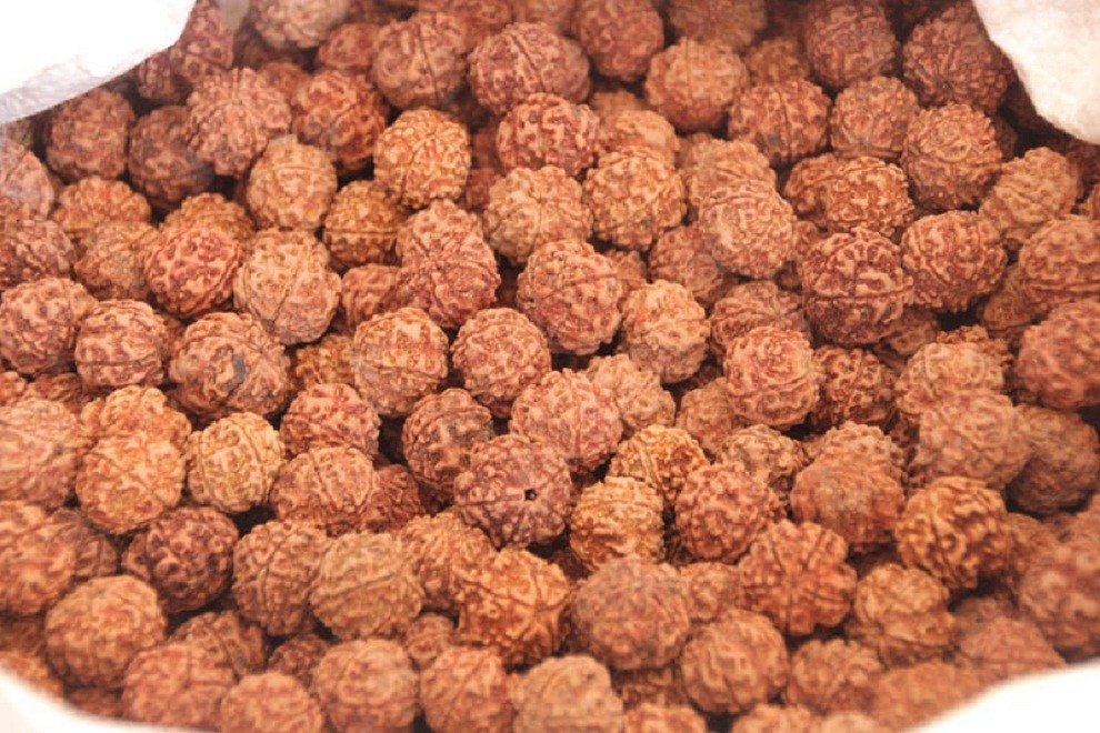 दुई अर्बभन्दा बढीको रुद्राक्ष कारोबार संकटमा