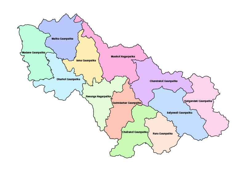 गुल्मीमा वडाध्यक्ष सहित १२ जना जुवाडे पक्राउ