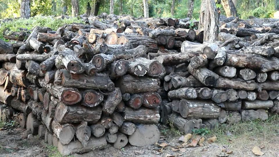 सरकारले सालको बिक्री वितरण फुकुवा नगर्दा कारोडौंको नोक्सानी