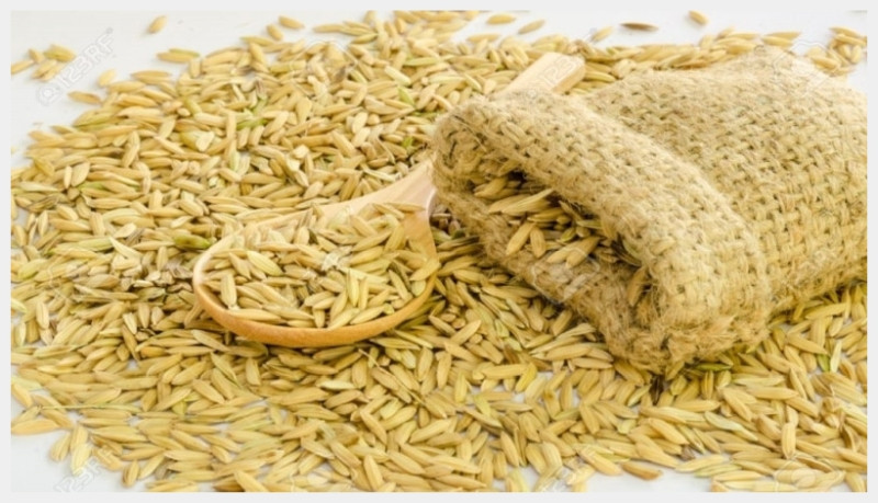 डेढ अर्बभन्दा बढीको धानको बीउ आयात