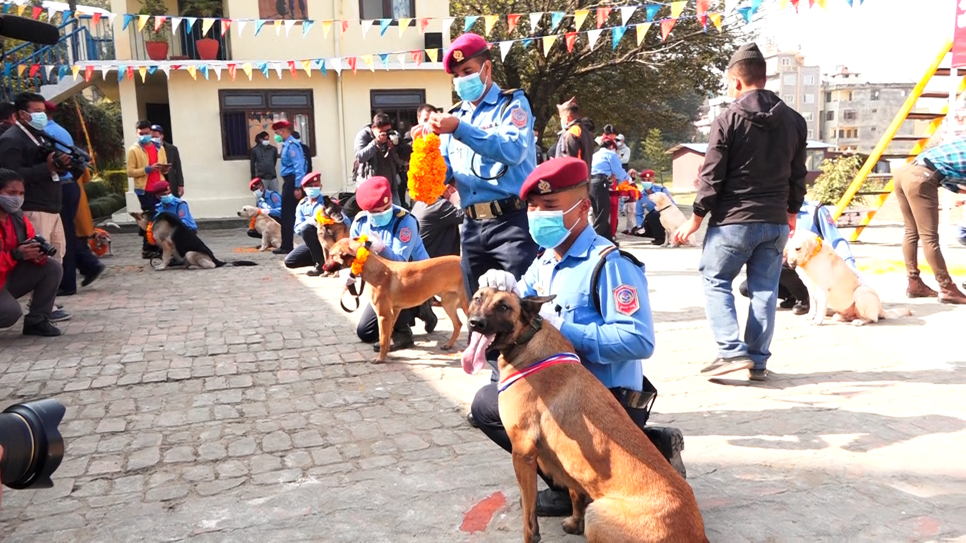 प्रहरीको कुकुर तालिम केन्द्रमा मनाइयो कुकुर तिहार (फाटाे फिचर)
