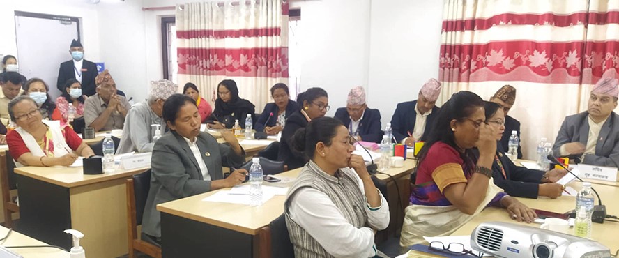 यौन अपराधका मुद्दामा हदम्याद संशोधन गर्न सरकारलाइ निर्देशन