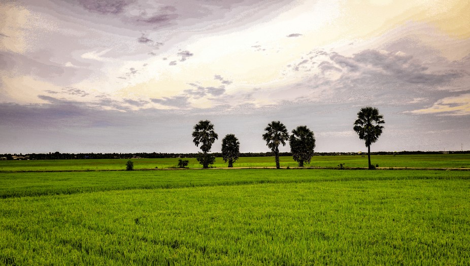श्रीलङ्काले प्रयोगमा नरहेका सबै जग्गामा खेती गर्ने