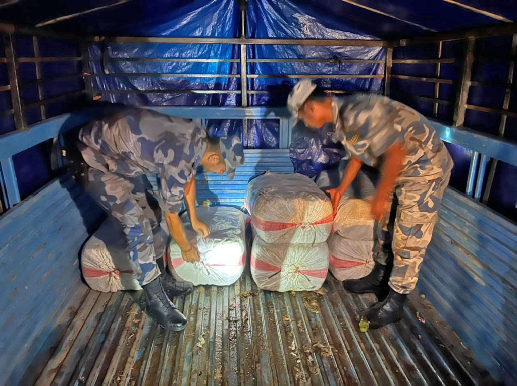 बन्दाकोबी भन्दै किलो गाजाँ तस्करि गरेपछी