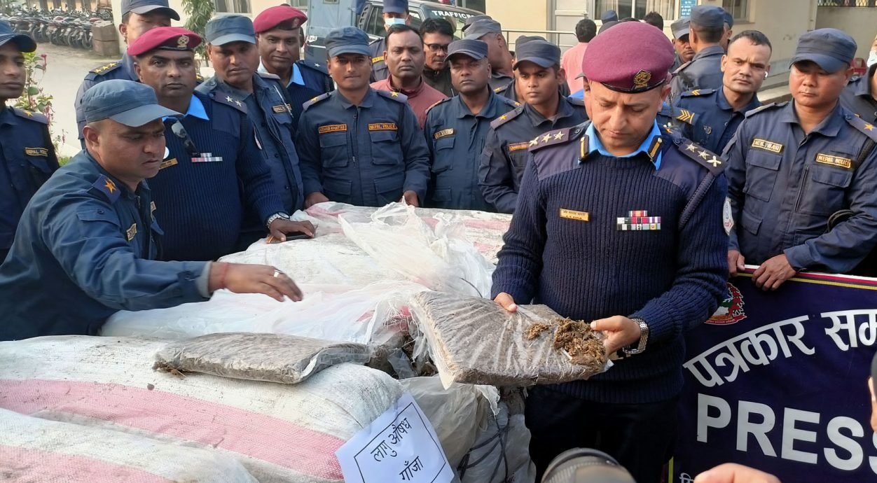 सप्तरीको हनुमाननगर कंकालिनी बाट ८१० केजी गाँजा बरामद