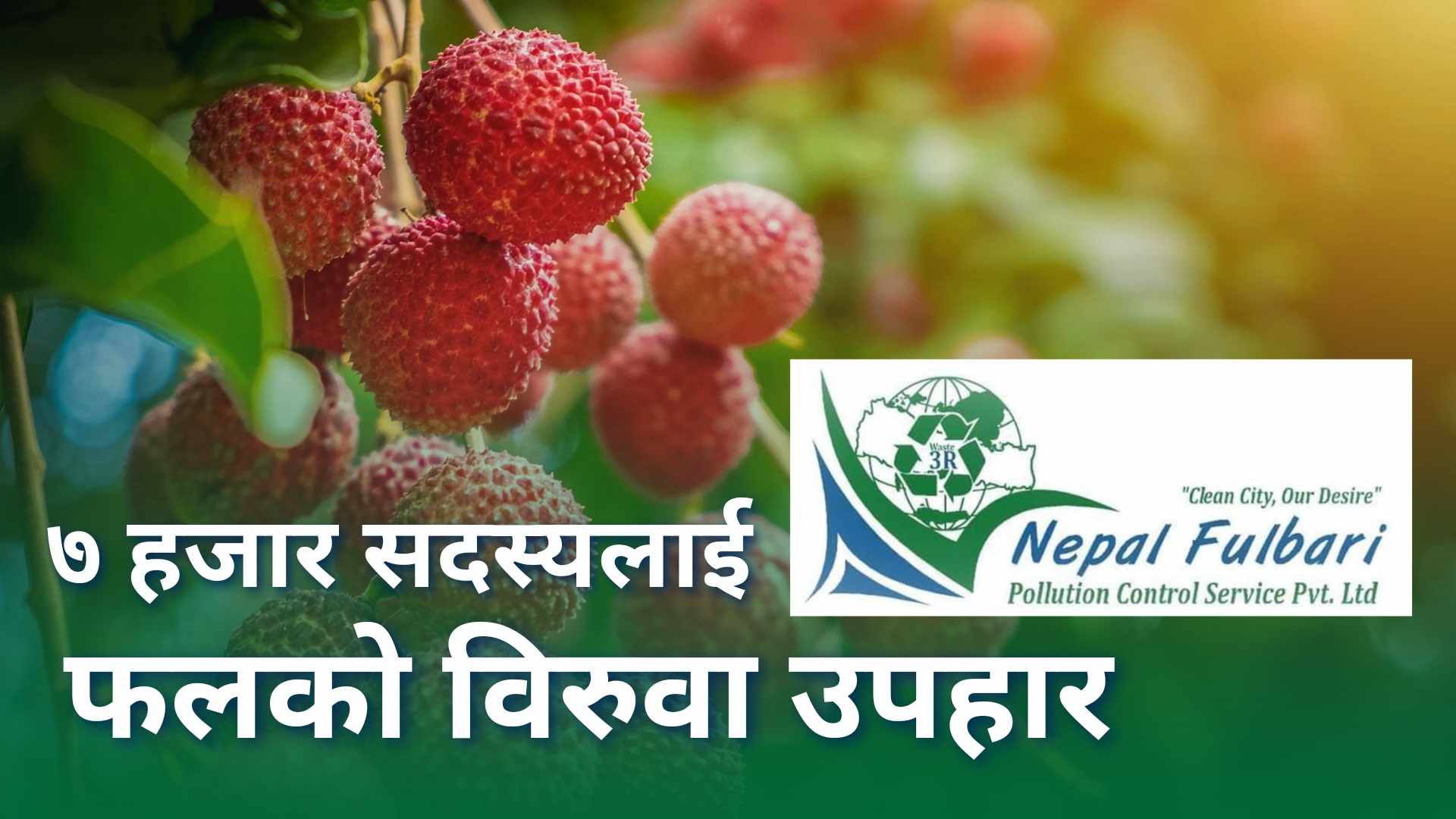 विराटनगरलाई हरियाली शहर बनाउने फुलबारीको प्रयास