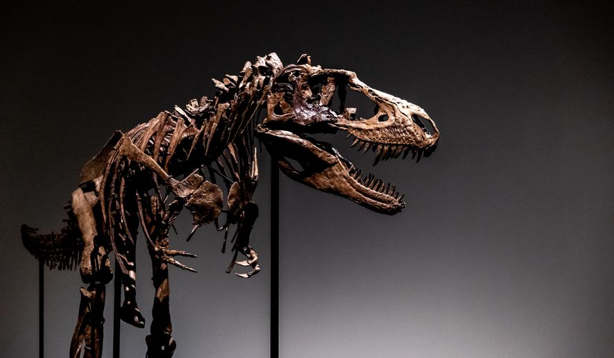 विश्वको सबैभन्दा ठूलो डाइनोसरको कंकालको लिलामी