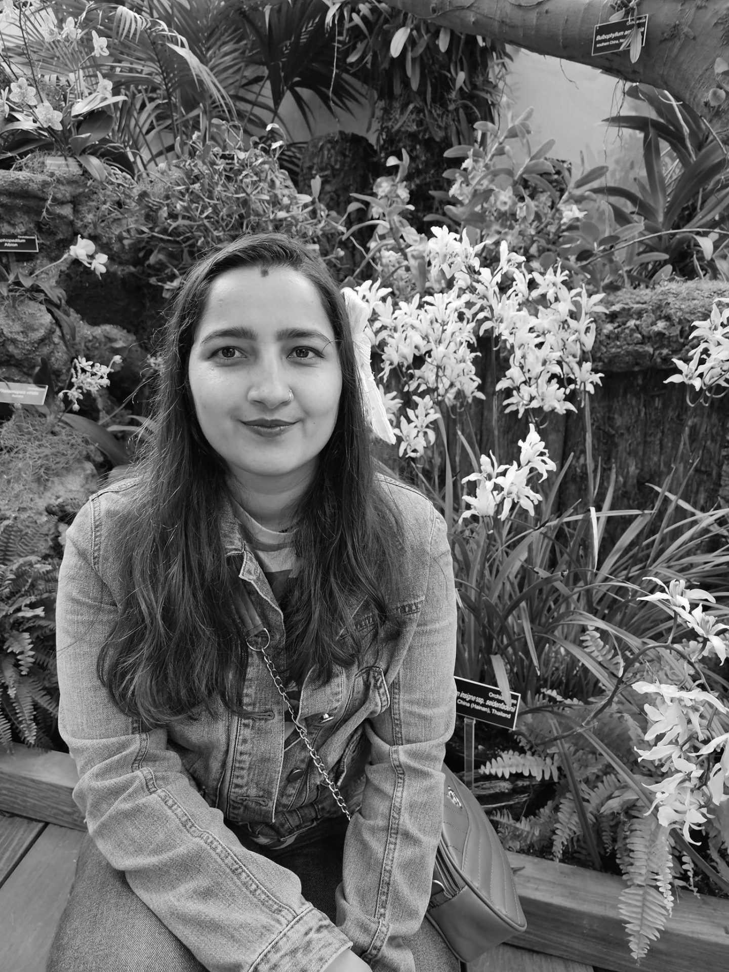 अब न फर्किने भईन् ममता भट्ट