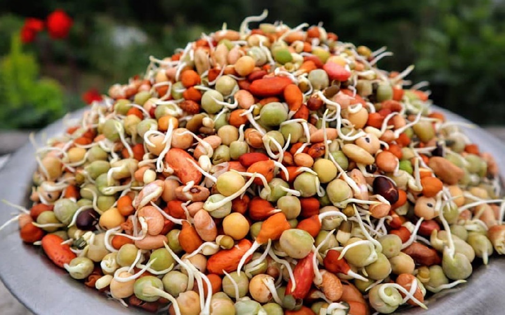 क्वाँटीमा समेत विदेशकैभर,मौलिक पर्व नेपालको क्वाँटी विदेशको