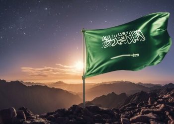 साउदी शान्तिदूत बन्दैः युक्रेनयुद्ध रोक्न छलफल चलाउँदै