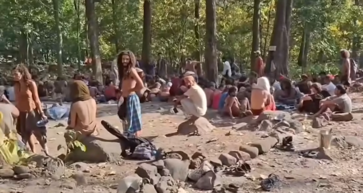 घोडाघोडी वनमा विदेशीको अस्भाविक जमघट