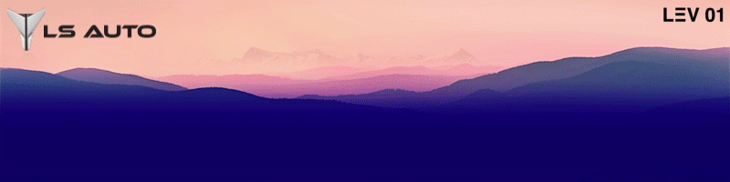 LS Auto