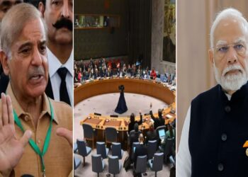 पाकिस्तान बन्यो संयुक्त राष्ट्र सुरक्षा परिषदको अध्यक्ष, भारत आगो