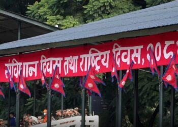 जेनजीको आवाजलाई संविधानले कहिले समेट्छ ?