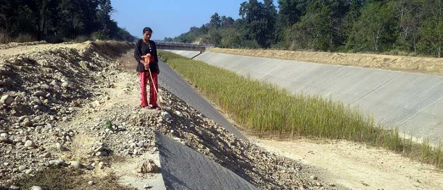 सिक्टा भ्रष्टाचार प्रकरण : ‘भ्रष्टाचारी नउम्किऊन् !’