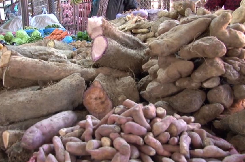 पाइन छोड्यो तरुल र कन्दमूल, ब्रोइलरकै भरमा माघेसङ्क्रान्ति !