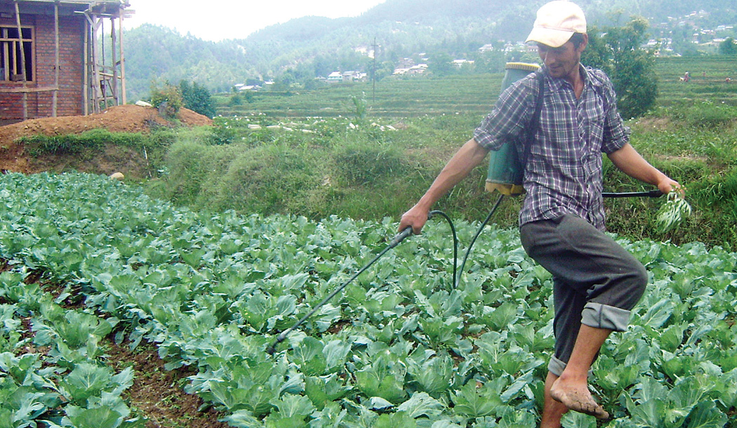 विषादीको प्रयोग बढ्दै, ५ महिनामा सवा अर्बको आयात