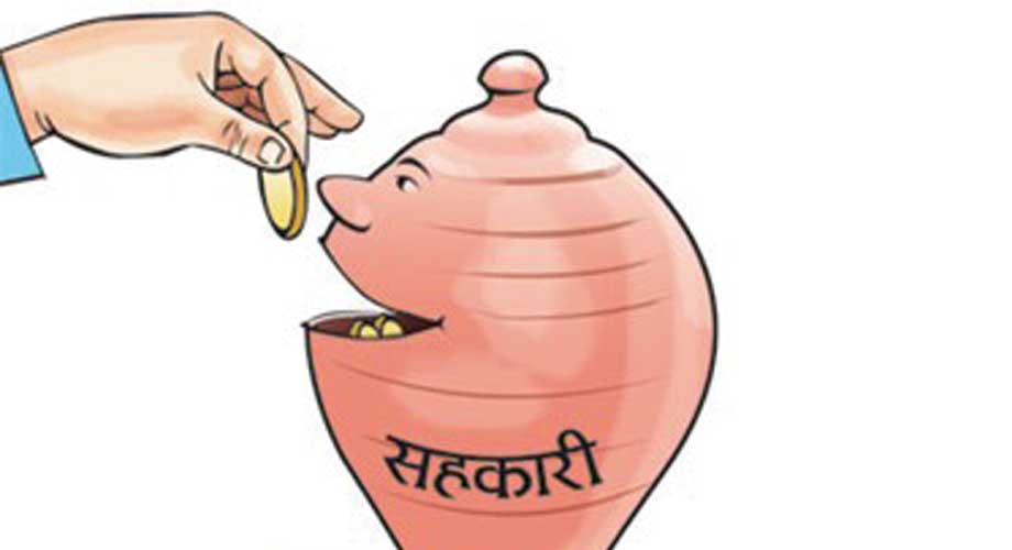 सहकारी सञ्चालकको मनपरी : अध्यक्ष आफैं, ऋणी आफैं