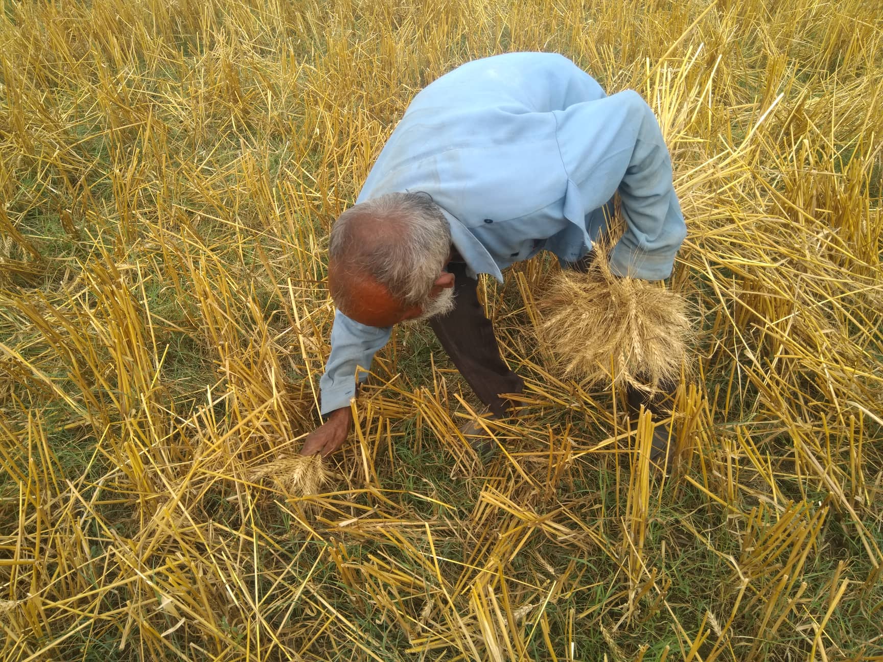 बाली सिला खोजेर अपांग श्रीमती र छोरो पाल्दै ६५ वर्षे वृद्ध