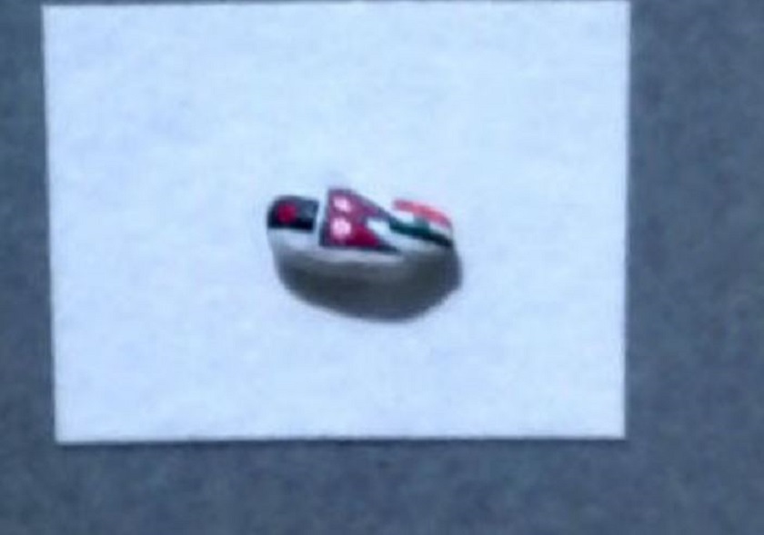 चामलको गेडामा तीन देशको झण्डा…