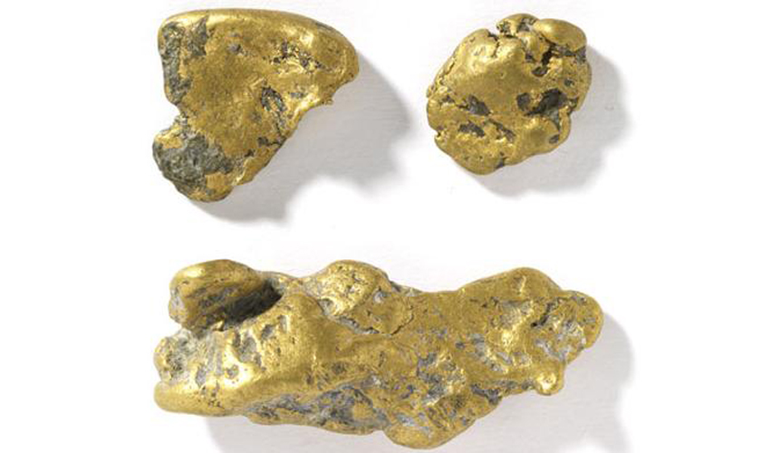 जमीनमुनी १९ तोला सुन र १३२ तोला चाँदी भेटियो