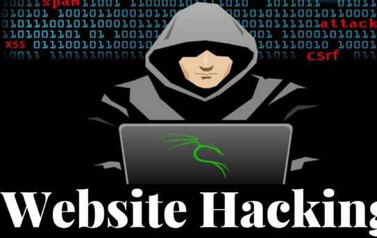 दुई सय सरकारी वेबसाइट ह्याक