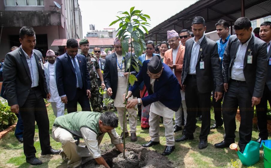 एक करोड रुख रोप्दै सरकार