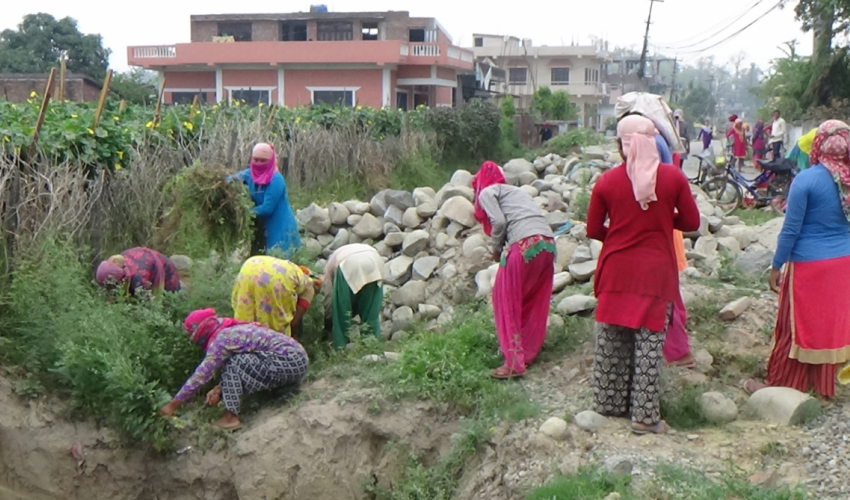 प्रधानमन्त्री रोजगार कार्यक्रम : झारपात गोडमेलमै साढे चार करोड