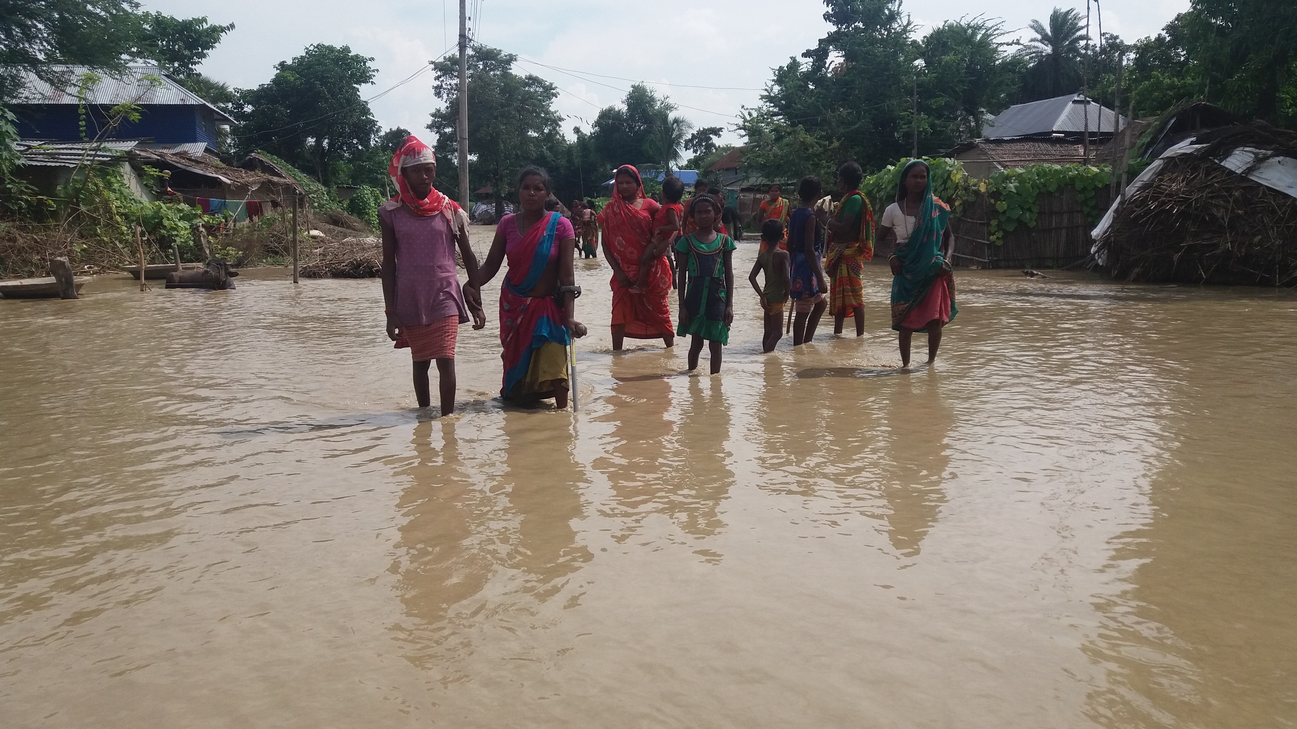 विराटनगरका तीन वडामा फेरी डुवान