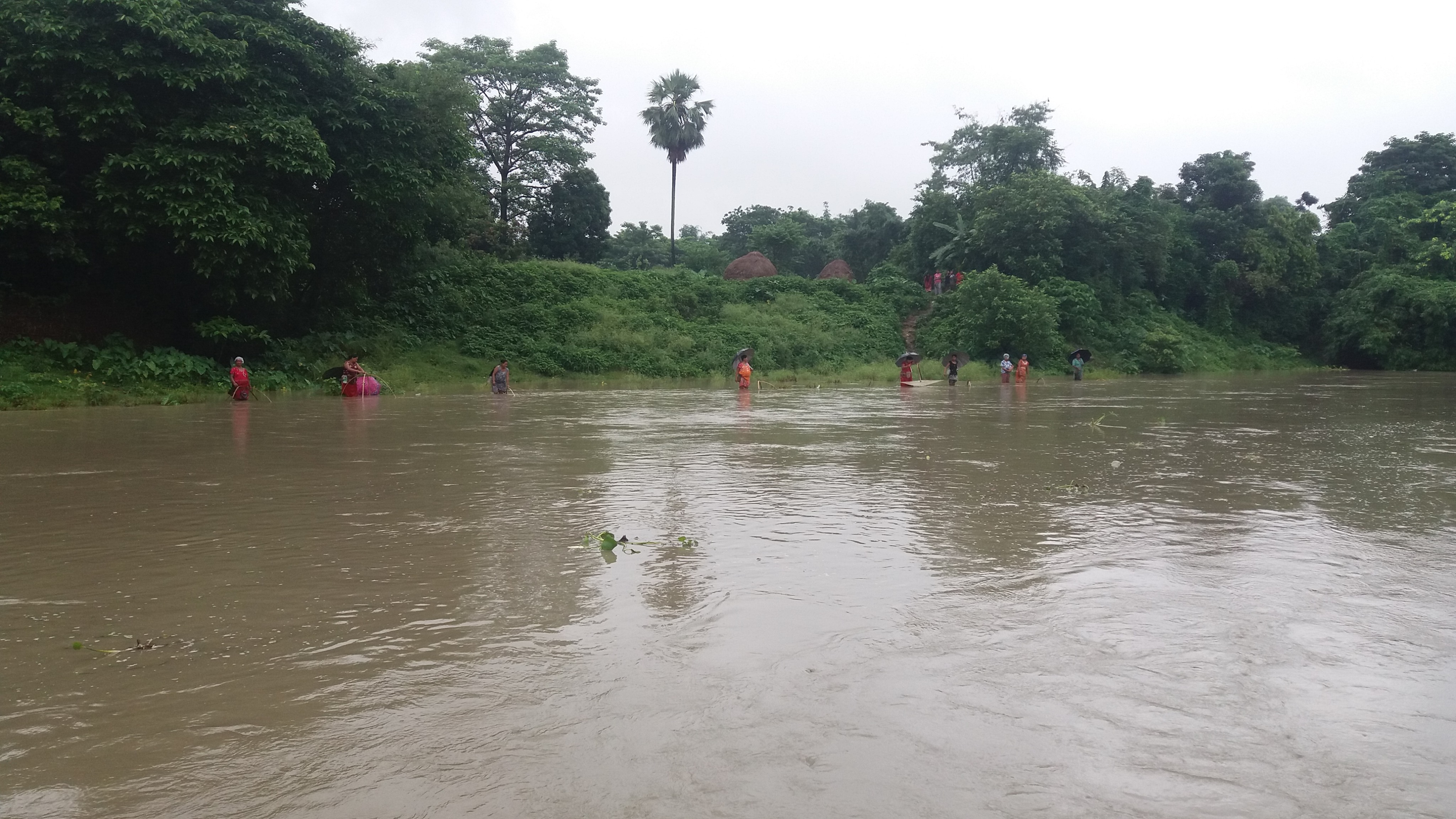 अविरल वर्षाका कारण सिंघीया खोला किनारका बासिन्दा त्रसित