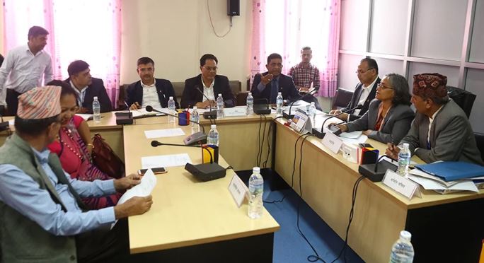 सरकारले आफ्नै निर्माण कम्पनी स्थापना गर्ने