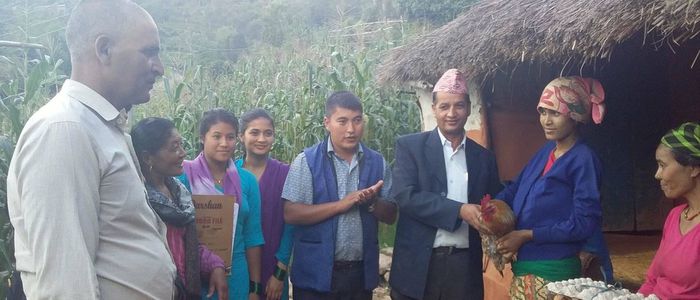 भाले, अण्डा र घ्यू बोकेर सुत्केरीको घरमा गाउँपालिका अध्यक्ष