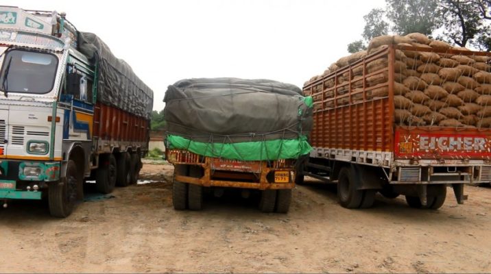 विराटनगरमा भारतबाट भित्रने फलफुल तथा तरकारीको विषादी परीक्षण गरिने