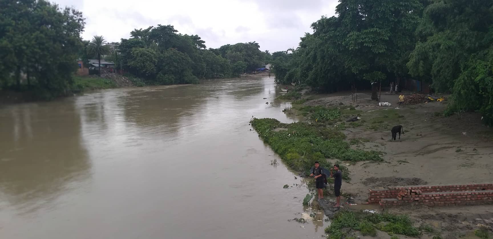 वर्षा रोकिएसँगै सिंघीया खोलाको जलस्तर घट्यो