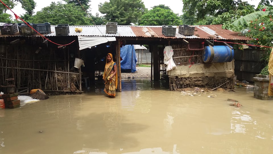 बाढीग्रस्त क्षेत्रमा बढ्यो सर्पको डसाइ