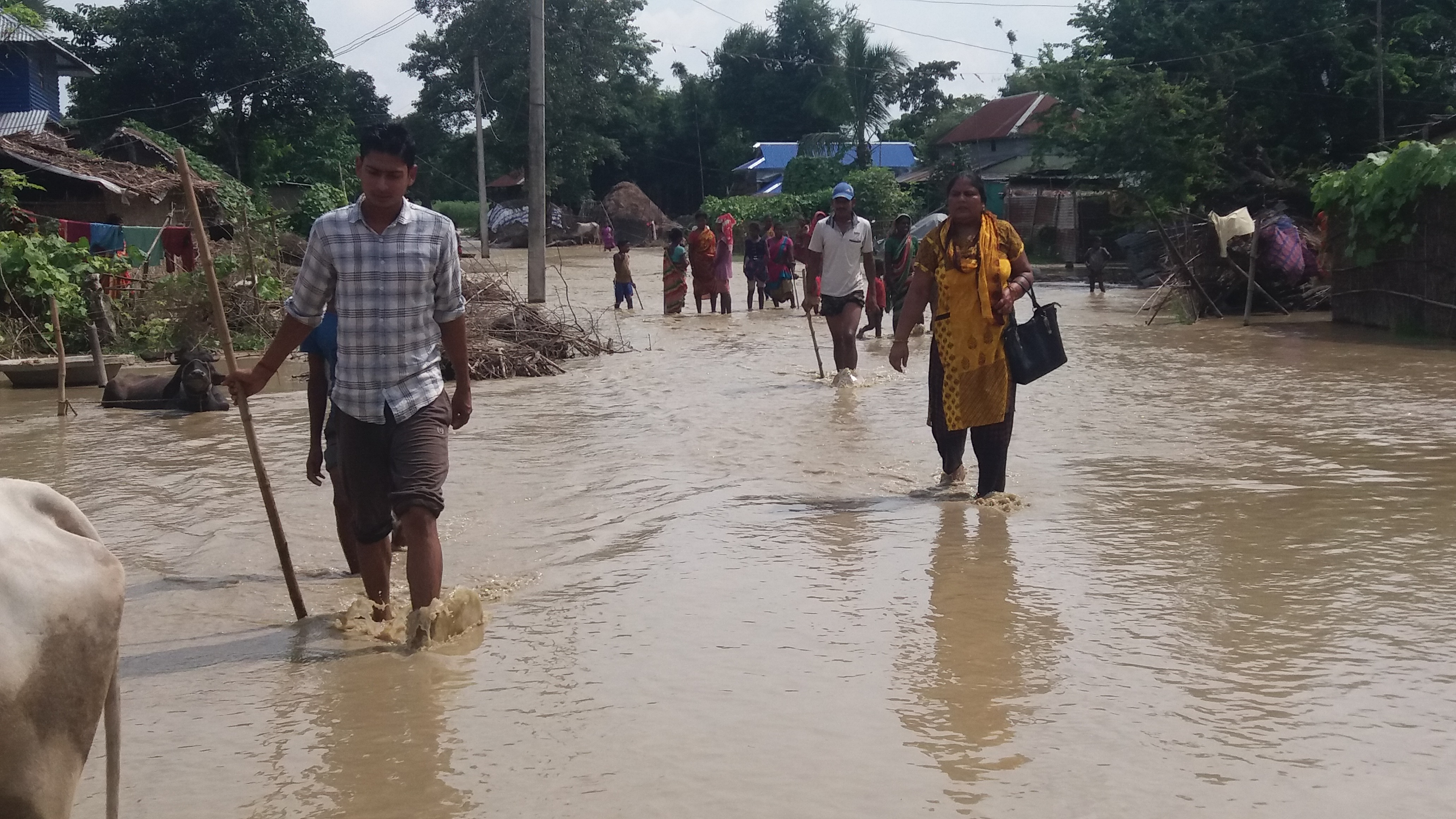 जहदाका घरघरमा पस्यो लोहन्द्रा खोलो